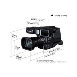 Panasonic HDC-MDH 2 Professional Camcorder (Black)