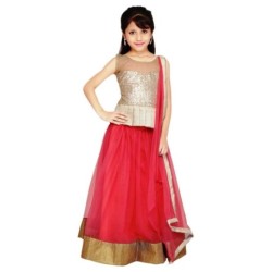 Creativeswilla Pink Lehenga For Girls