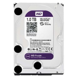 WESTERN DIGITAL 1TB Sata Survelliance HDD For DVR System (WD10PURX) - Purple