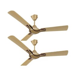 Havells 1200 mm Nicola Ceiling Fan Bronze Copper (Pack of 2)